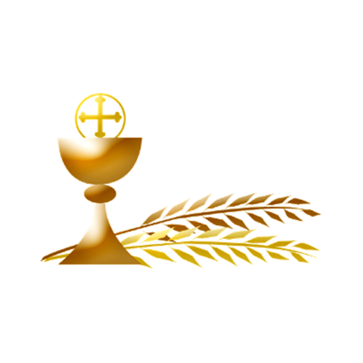 Beschermd: GK 2025 Dagelijkse eucharistie Werkdocument